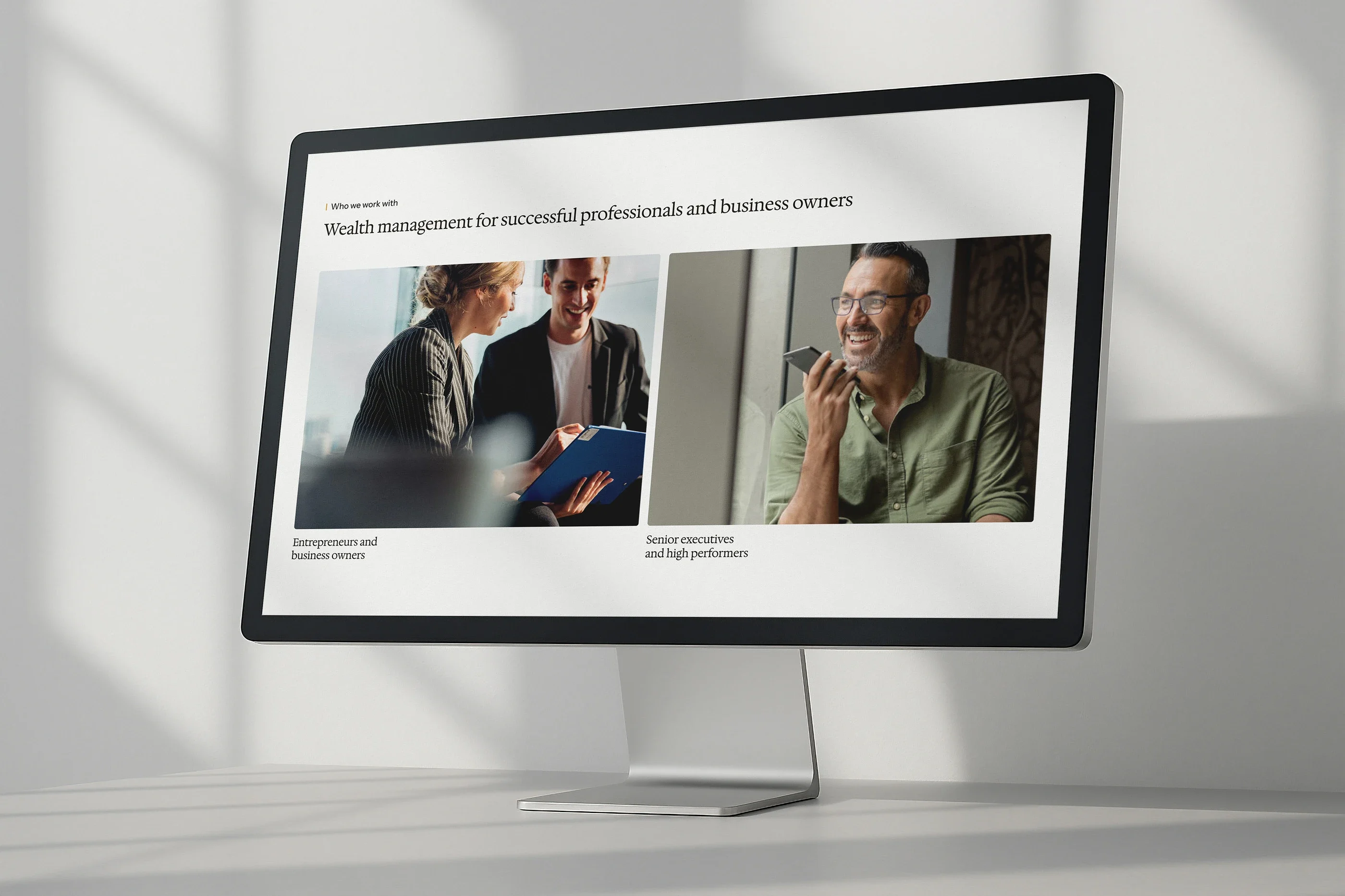 The 'Wealth management for successful professionals and business owners' section on a desktop monitor