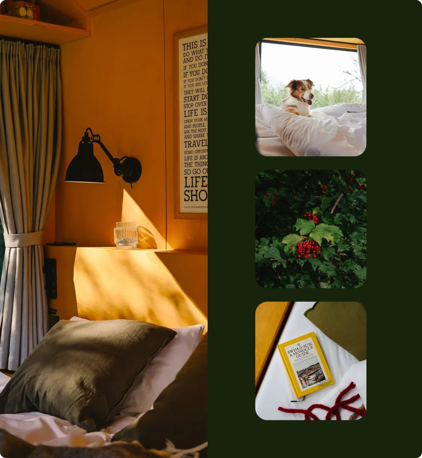 A cabin bedroom in warm light, beside close-ups of a dog on the bed, red berries and a book