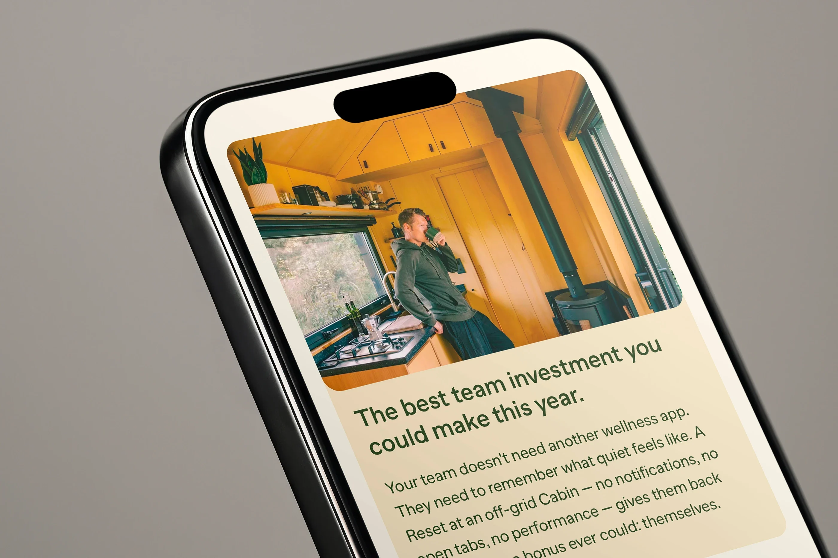 'The best team investment you could make this year' on a phone